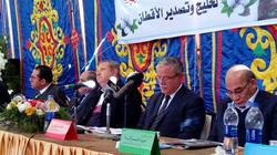 "رئيس الإصلاح الزراعي": التوسع في زراعة القطن سيقضي على صناعة الإرهاب