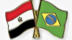 "التجاري المصري" ينظم ندوة "الفرص التجارية لصادرات الأسمدة للبرازيل"