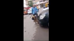 الأمن ينقذ أهالي الإسكندرية من بلطجي "السيف والكلب".. والمحكمة تسجنه سنتين