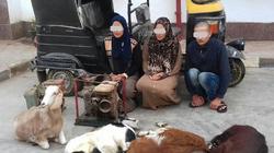 سقوط عصابة "نسمة وآية" لسرقة الأغنام بعد 7 جرائم بالدقهلية