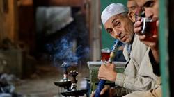«المركزي للمحاسبات»: مرتجعات كبيرة في المعسل.. العفن السبب