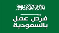 «أخصائي خيول بمرتب 75 ألف جنيه».. تفاصيل 12 وظيفة مطلوبة في السعودية