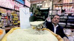 «شعبة الأرز» باتحاد الصناعات: وفرة المعروض من السلعة أدت لاستقرار الأسعار