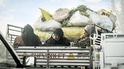 «الوطن» تقبل رأس «المرأة المعيلة» فى عيد الأم