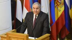 مرعي: السيسي حقق إنجازات كثيرة خلال ترأسه الاتحاد الأفريقي