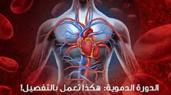 أطعمة وأعشاب لتنشيط الدورة الدموية وطرد السموم.. منها الشطة الحارة