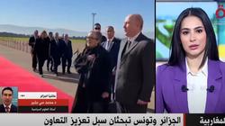أستاذ علوم سياسية: شراكة بين الجزائر وتونس في الملفات الاستراتيجية