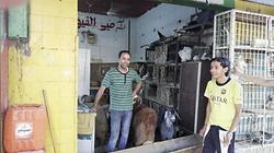 محل فراخ يفتح أبوابه لـ"الخرفان": العيد عيدكم