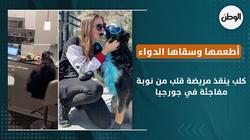 كلب ينقذ مريضة قلب من نوبة مفاجئة في جورجيا.. أطعمها وسقاها الدواء