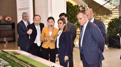 سحر نصر: قانون الاستثمار الجديد يدعم المشروعات الصغيرة