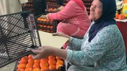 الأيدي الناعمة تخصص فرز وتسوية «الكاكا».. المحصول في رعاية سيدات «أجا»