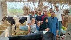 تعرف على سبب وجود «بقرة» في «عزال» عروسة بالدقهلية (فيديو)