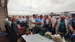 استمرار فعاليات مهرجان الزيتون الأول بالعريش.. «مسابقات وقصائد وجوائز»
