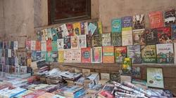 اليوم العالمي للثقافة.. الكتب الأكثر طلبا في الأسواق