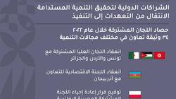 التقرير السنوي لوزارة التعاون الدولي.. حصاد اللجان العليا والمشتركة 2022