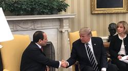 عاجل| السيسي لـ ترامب: ستجد مصر بجوارك بقوة في مكافحة الإرهاب