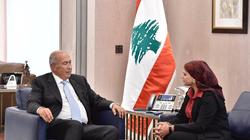"الوطن" تحاور البرلماني اللبناني فؤاد مخزومي: علاقة لبنان بمصر تاريخية