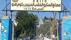 «يا أبو اللبايش يا قصب».. انطلاق موسم العصير بمصانع سكر كوم أمبو بأسوان