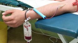 دراسة: الدم الطازج لا يقلل من نسبة الوفيات