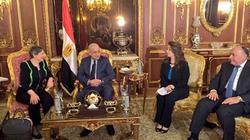 "الوزراء" يوافق على تعديل معايير اللائحة التنفيذية بـ"مكامير الفحم النباتي"