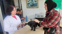 مؤشرات تنسيق كلية الطب البيطري جامعة جنوب الوادي 2025.. وفق العام الماضي
