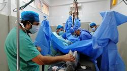 حصان يخضع لأول عملية جراحية في الحبل الشوكي بمصر.. استغرقت 7 ساعات