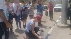 بالصور| حملة نظافة وتشجير بمشاركة 60 شابا في دمياط