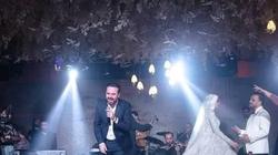 ما المهنة التي يعمل بها عريس طلخا صاحب حفل الزفاف الأسطوري بالدقهلية؟