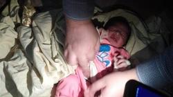    العثور على طفل عمره 3 أيام مُلقى أسفل مقعد بـ"كورنيش كفر الشيخ"