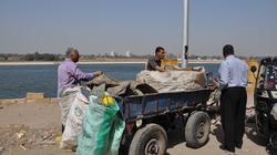 مصادرة 5 "عربات كارو" تنبش القمامة في أسيوط