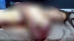 حبس أستاذ الجامعة المتهم بـ«قتل نجله بسير غسالة»