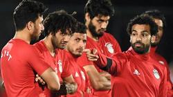 أجيري يعلن تشكيل المنتخب الوطني أمام النيجر.. مروان محسن أساسي