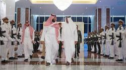 مباحثات إماراتية سعودية في أبوظبي