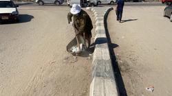 خلال يوم.. رفع 846 طن قمامة من المنصورة وطلخا