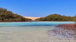 أرخص مصيف في شرم الشيخ.. 5 أيام و 4 ليالي إقامة ووجبات بـ 1000 جنيه