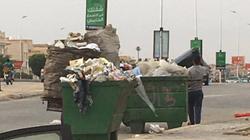 "كوم زبالة" لم تره موظفة التجمع بالقرب من بائع التين: جت على الغلبان