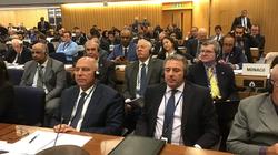 مصر تفوز بعضوية مجلس المنظمة البحرية الدولية الفئة "C"