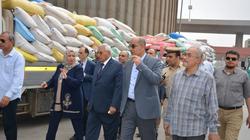 صوامع وشون الدقهلية تستقبل 36 ألف طن قمح مصري