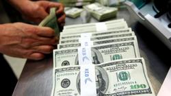 سعر الدولار اليوم مقابل الجنيه.. آخر تحديث في البنوك الحكومية والخاصة
