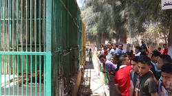 رفع كفاءة الحدائق لاستقبال زوار الإسكندرية في الصيف
