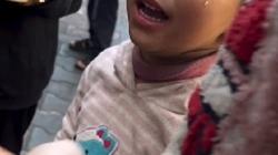 صورة أقوى من الرصاص.. كاتب إسرائيلي يصرخ: فقدنا الدعم الدولي بسبب غزة