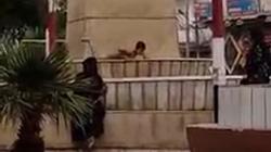 أطفال يسبحون في نافورة ميدان عام هربا من الحر بالزقازيق (فيديو)