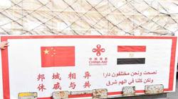 اقتبست أحد أبياته وأحيت ذكرى رحيله.. الصين تحتفي بأمير الشعراء