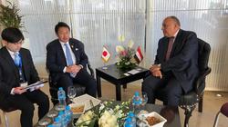 وزير الخارجية يلتقي النائب البرلماني لنظيره الياباني