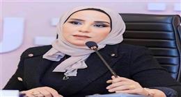 عضو «الشيوخ»: مشهد الأعلام وقوافل المساعدات بغزة يجسد دور مصر التاريخي والإنساني