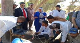 «الزراعة»: تكثيف جهود الرعاية التناسلية والتحسين الوراثي للماشية خلال سبتمبر