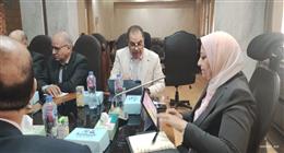 نائب وزير الكهرباء تستعرض الموقف التنفيذي للمشروعات القومية بـ«مصر الوسطى»