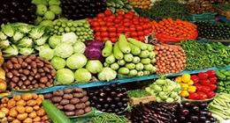 سوق العبور يعلن تحديثات في أسعار الخضروات اليوم السبت 11-10-2025