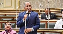 نائب «حماة الوطن» يشكر الرئيس السيسي على تعيينه بـ«الشيوخ»: ثقة غالية ومسؤولية وطنية
