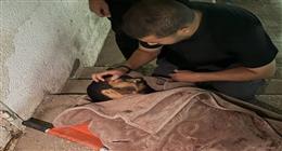 مقتل صالح الجعفراوي بعد انتهاء الحرب.. نقل معاناة غزة قبل رحيله